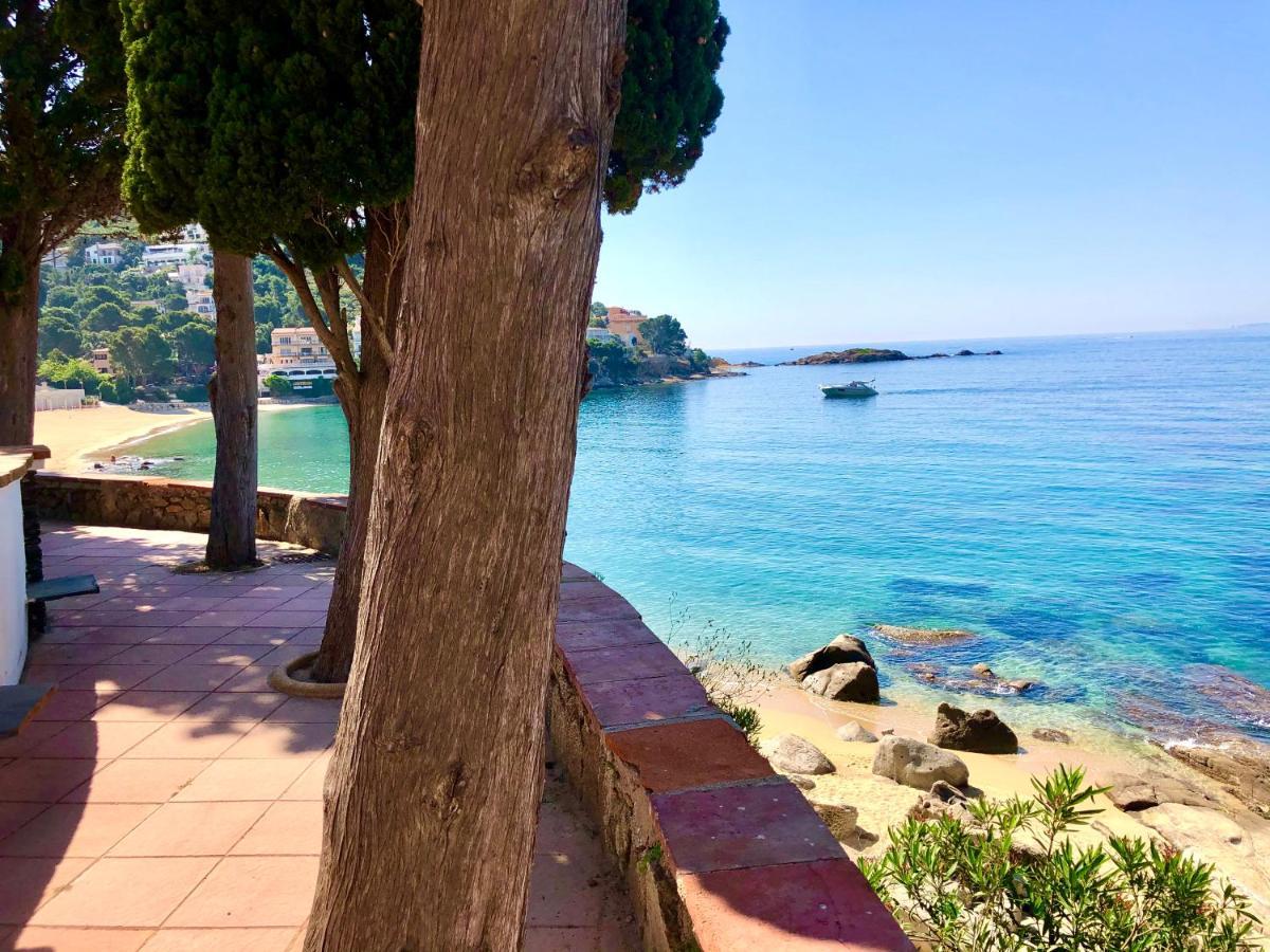 Magnifique Appartement En Front De Mer, Caneylles Roses Buitenkant foto